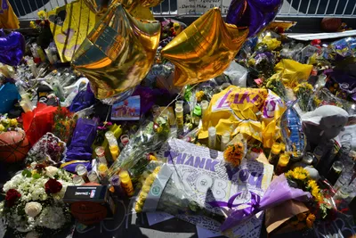 DSC_7124 (Large).JPG